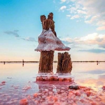 hg8088皇冠（2九游娱乐